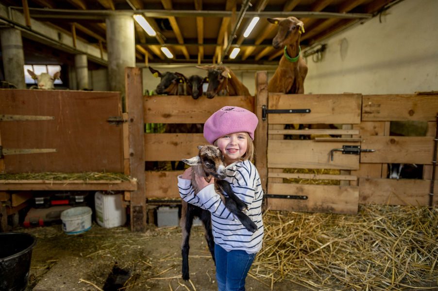 © Chèvrerie des Thoules - Cyril Entzmann