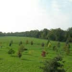 Arboretum de Ripaille