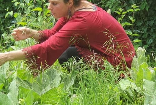 Les Bourgeons de l'Ermitage