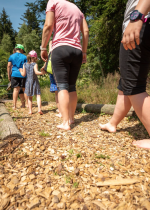 Barefooting au pays des tourbières du Géoparc du Chablais