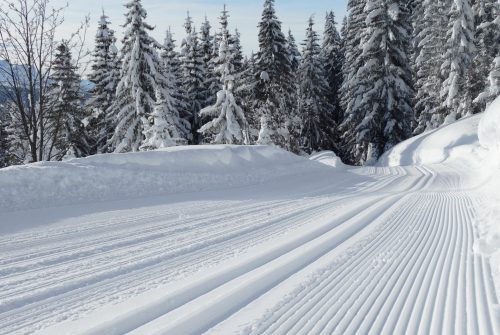 Domaine de Ski de fond Les Gets