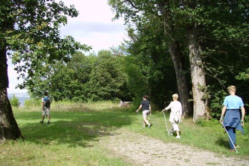 Forêt de Ripaille