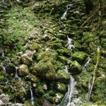 Les Gorges du Pont du Diable