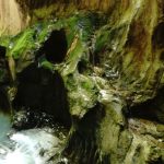 Les Gorges du Pont du Diable
