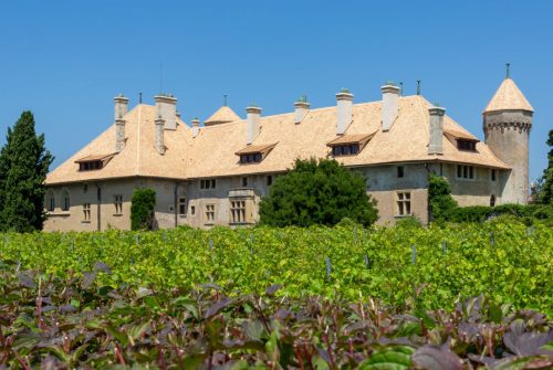 Domaine de Ripaille - Vin de Ripaille