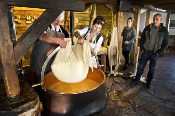© Le Train du Fromage - MOB
