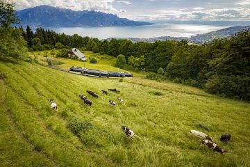 Soirées gourmandes au sommet