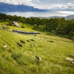 Soirées gourmandes au sommet