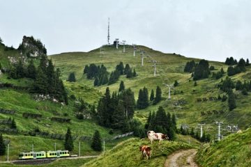 © Transport Publics du Chablais - Benoît Ghiringhelli