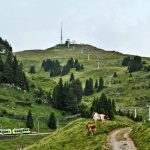 © Transport Publics du Chablais - Benoît Ghiringhelli