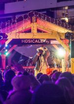 Les Féériques - Soirées musicales et festives