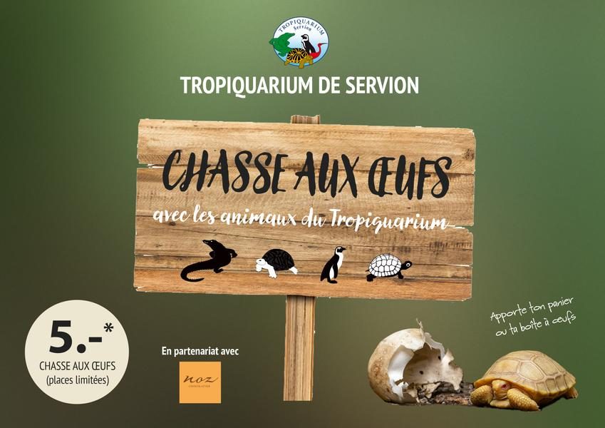 © Chasse aux oeufs au Tropiquarium - Tropiquarium