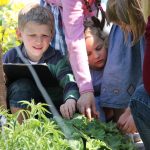 © Jardin des Cinq Sens - Jardin5sens