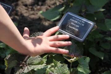 © Jardin des Cinq Sens - jardin5Sens
