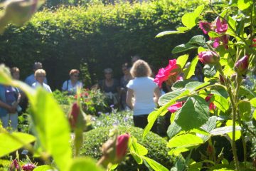 © Jardin des Cinq Sens - Jardin5Sens