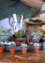 Atelier terrarium