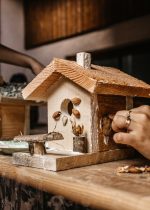 Atelier cabane à oiseaux