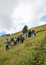 Balade plantes médicinales