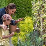 © Visite contre-sens - @Jardin 5  sens