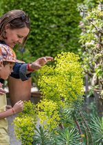 Visite à contre-sens - Jardin des cinq sens