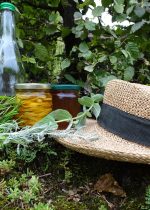 Visite Secrets de plantes médicinales - Jardin des cinq sens