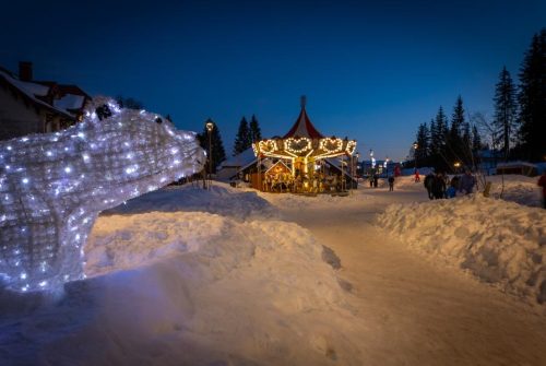Noël au pays des sapins