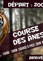 Course des ânes