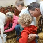 © Visite de la Chèvrerie des Thoules_La Chapelle-d'Abondance - Chèvrerie des Thoules - CRUZ-MERMY Caroline et Gérard