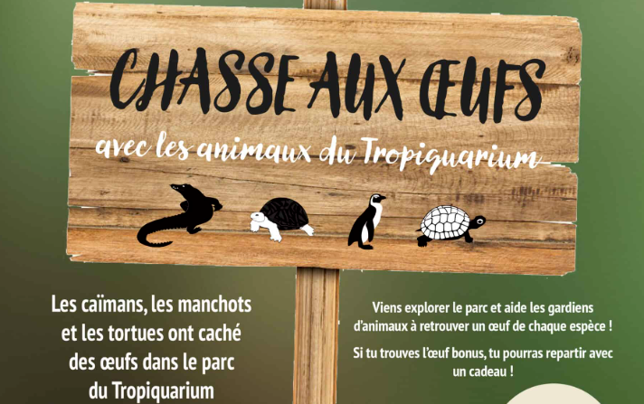 © Chasse aux oeufs au Tropiquarium_Servion - Tropiquarium de Servion