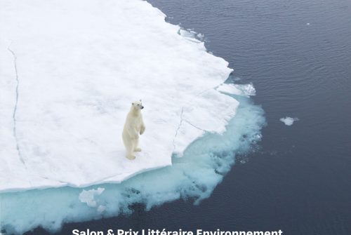 Salon et prix littéraire environnement "De Rives en Pages"