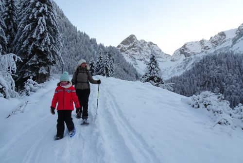 Balade nature à raquettes