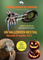 Un Halloween Bestial au Tropiquarium