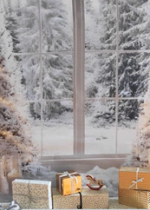 Séance photos de Noël - Espace enchanté