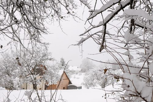 Visite guidée de la station-village de Thollon-les-Mémises