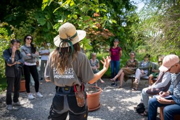 © Musées de Genève_Genève - Nicolas Righetti