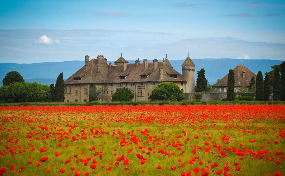 © Fleurir Ripaille_Thonon-les-Bains - Fleurir Ripaille_Thonon-les-Bains