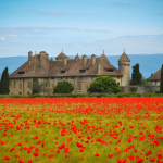 © Fleurir Ripaille_Thonon-les-Bains - Fleurir Ripaille_Thonon-les-Bains