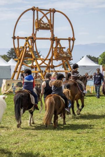 © Folie(s) Végétales 2026_Thonon-les-Bains - Marion TODESCHINI