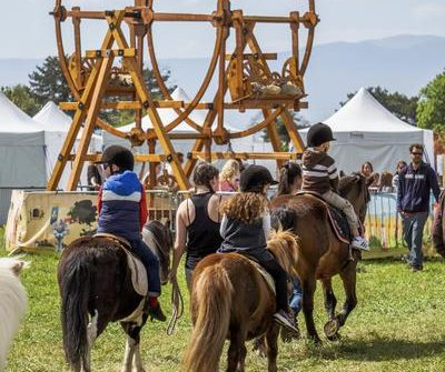 Folie(s) Végétales 2026
