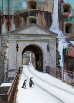 Exposition temporaire « Intuitions croisées"