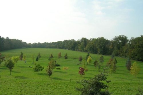 Mémorial National des Justes - "La Clairière des Justes"