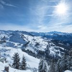 © Hiver-Ranfoilly - mel Carle