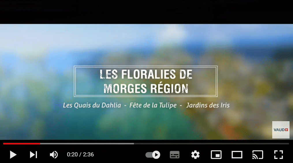 Découvrez les Floralies de Morges Région avec les incontournables Quais du Dahlia, la Fête de la Tulipe et le Jardin des Iris.