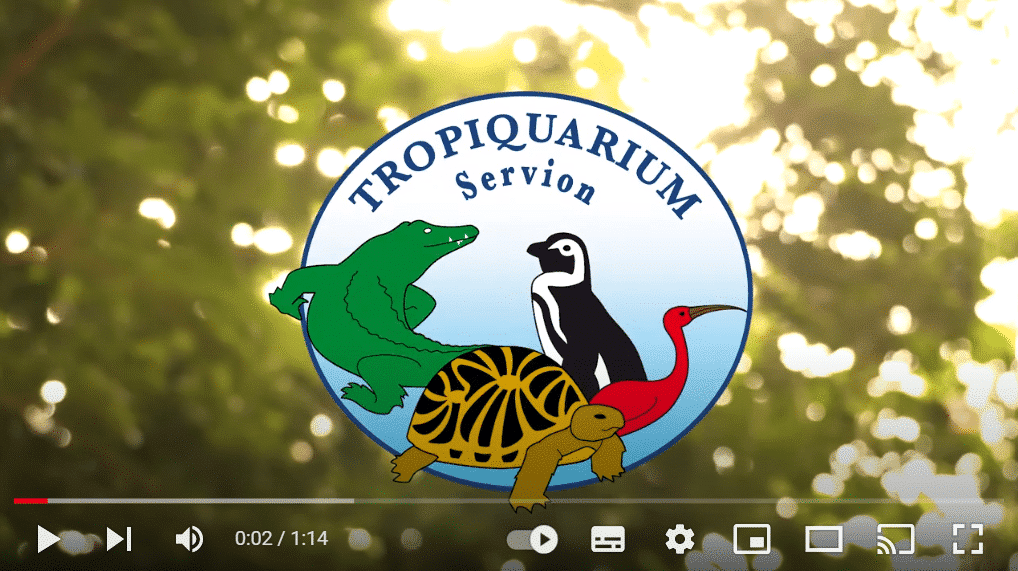 video_tropiquariumservion