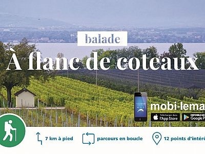 Balade "A flanc de coteaux"