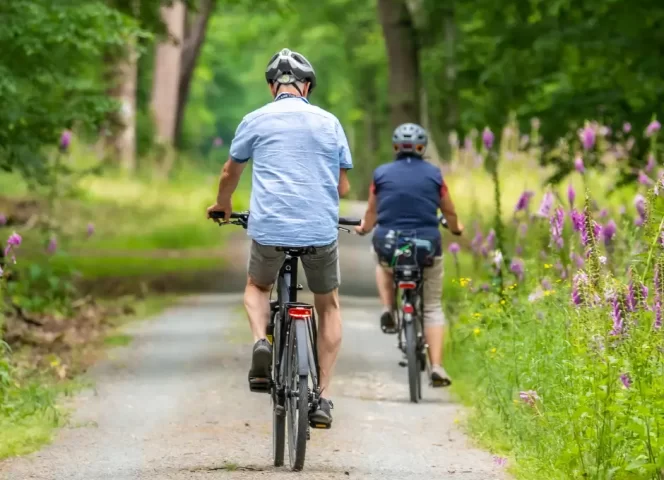 Les circuits vélo emblématiques autour du lac Léman