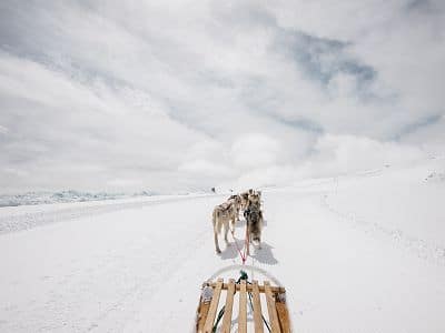 chiens-traineaux-glacier3000