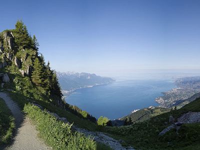 web_Vue-panoramique-depuis-un-chemin-de-randonnée