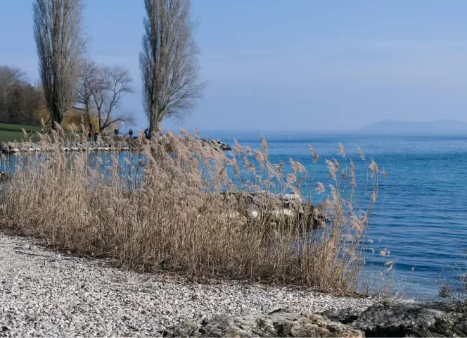 les réserves naturelles sur le lac léman
