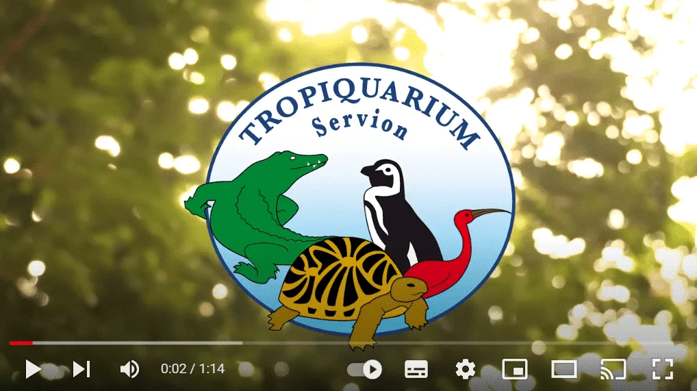 Le Tropiquarium de Servion présente les animaux que vous pourrez découvrir lors de votre visite en famille.